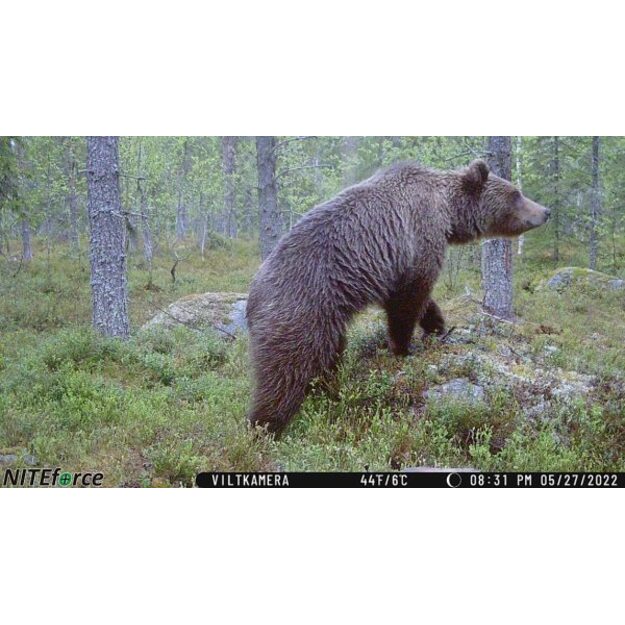 NITEforce novēro&scaron;anas kamera Concept 4G LTE 20MP