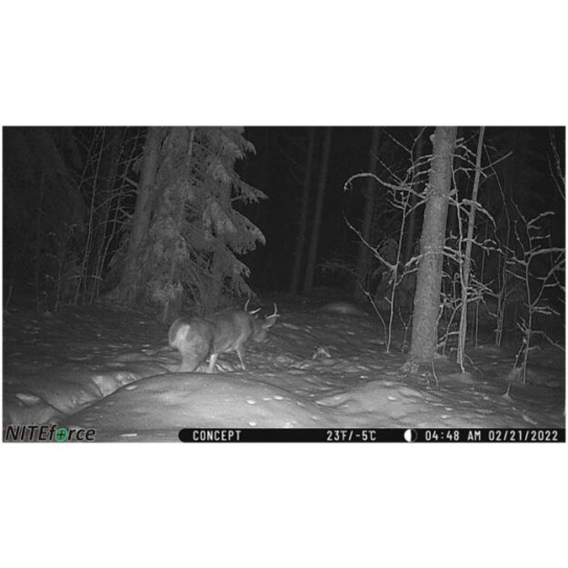 NITEforce novēro&scaron;anas kamera Concept 4G LTE 20MP