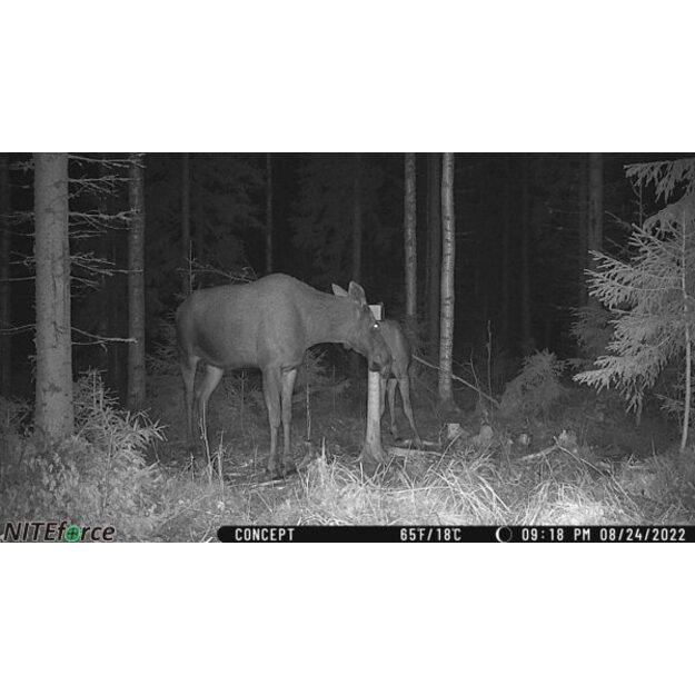 NITEforce novēro&scaron;anas kamera Concept 4G LTE 20MP