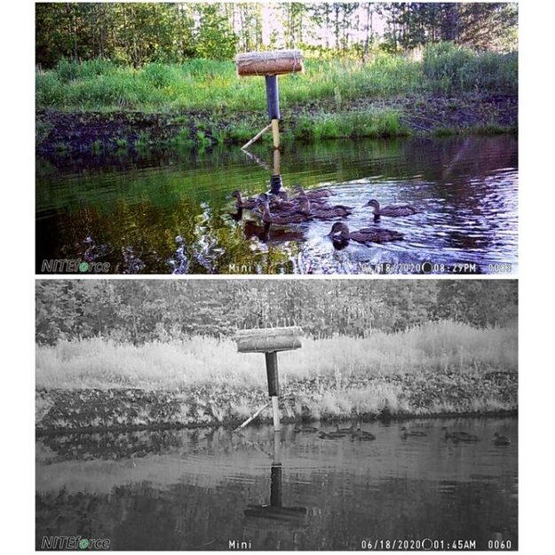 Novēro&scaron;anas kamera caur tālruni NITEforce Mini 20MP HD