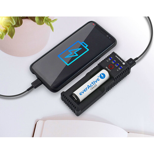 Universalus įkroviklis UC-100 everActive