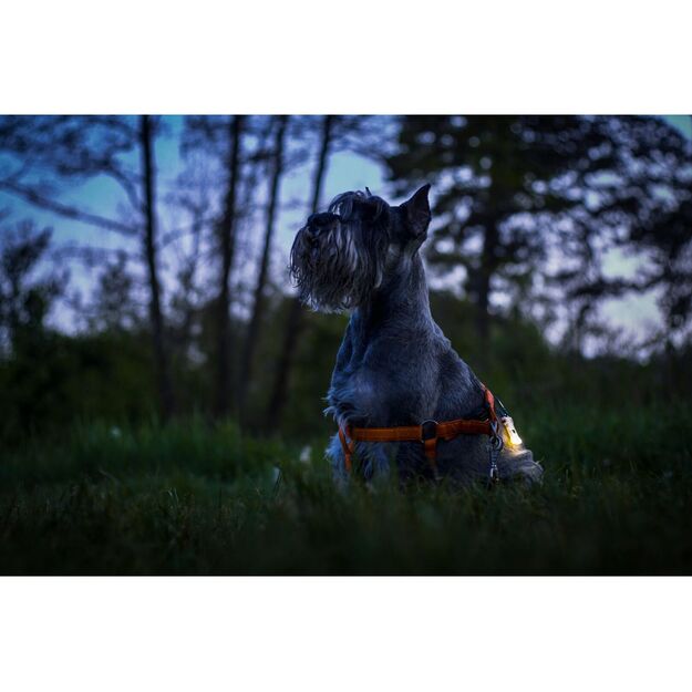 Armytek Zippy flashlight, red