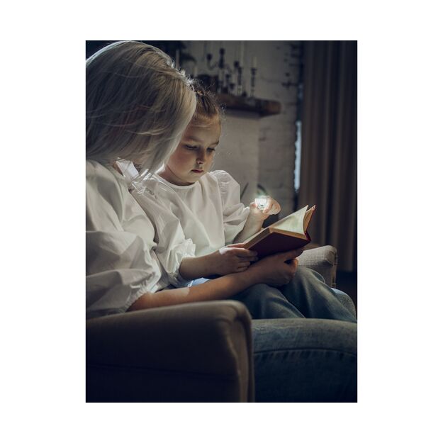 Armytek Zippy flashlight, red