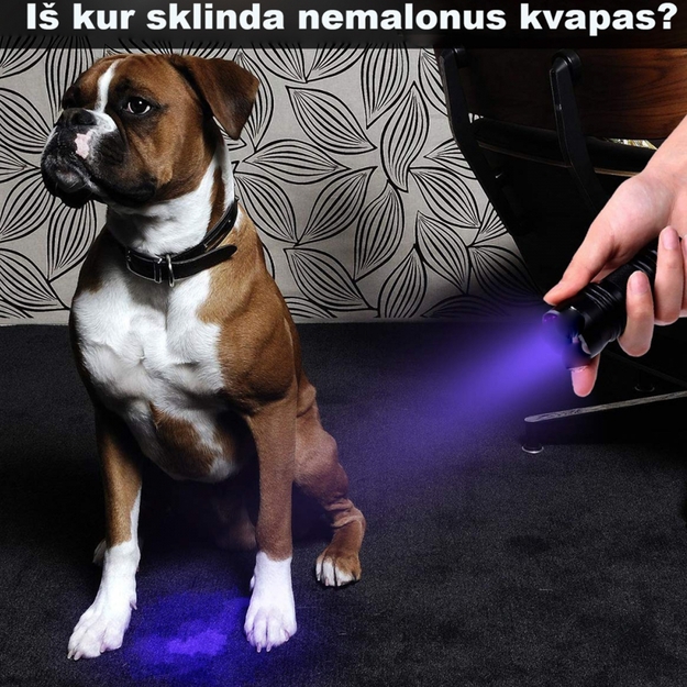 UV žibintuvėlis 9 LED