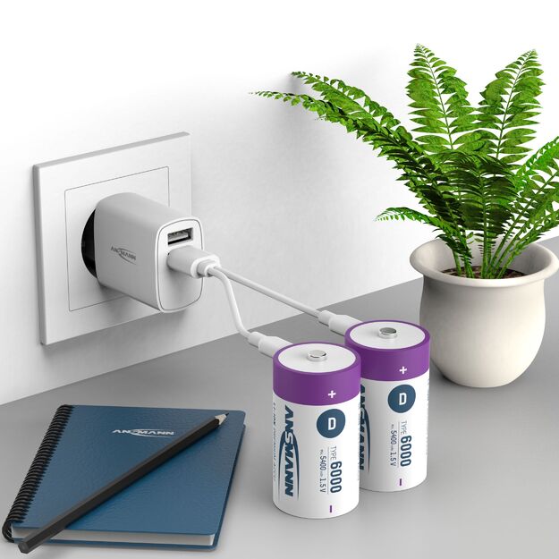 ANSMANN Uzlādējamas baterijas D 1.5V 6000mAh (Li-Ion 12Wh) ar USB-C ligzdu, 2 gab. iepakojumā 