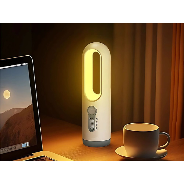 Night Light and Flashlight in One