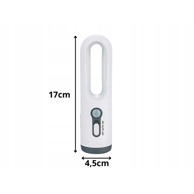 Night Light and Flashlight in One