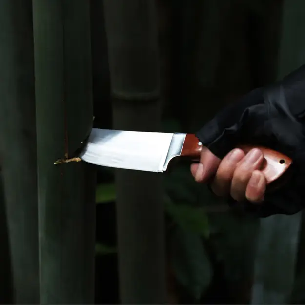 MOUNTAIN GHOST Fixed Blade Knife with Sheath, 24 cm