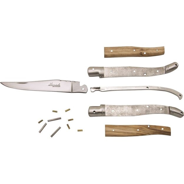 Do-it-yourself Baladeo Laguiole knife DUB006