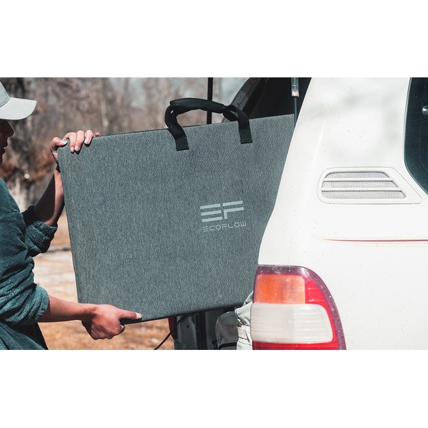 Photovoltaic panel EcoFlow 220W