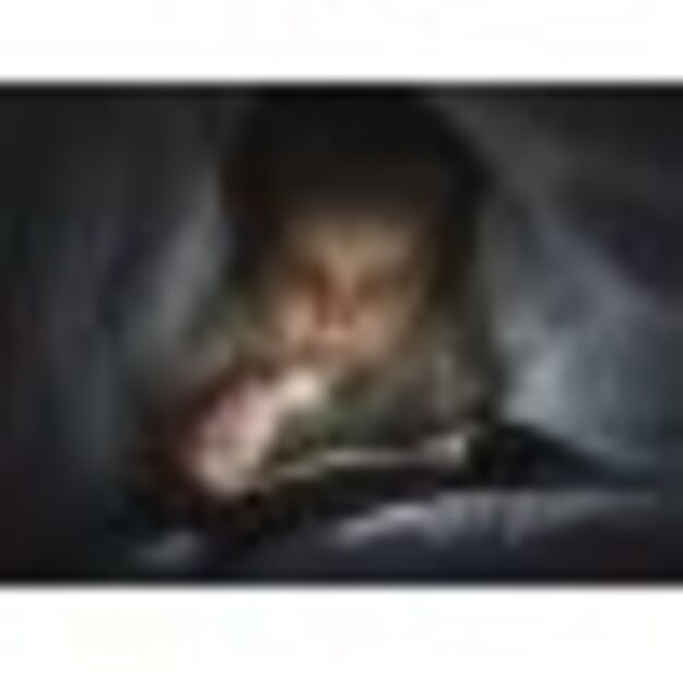 Armytek Zippy EU flashlight GRAY F06101G