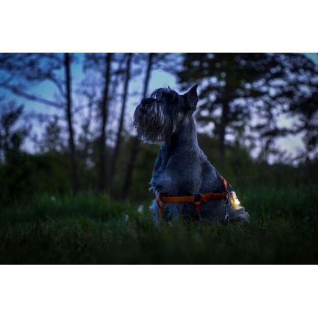 Armytek Zippy EU flashlight GRAY F06101G