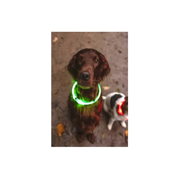 Flamingo Leora zaļa suņu apkakle