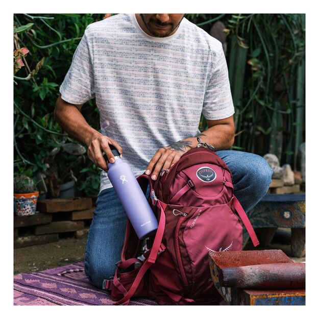 Hydro Flask Standard Flex Cap travel bottle 621ml Lupine S21SX474