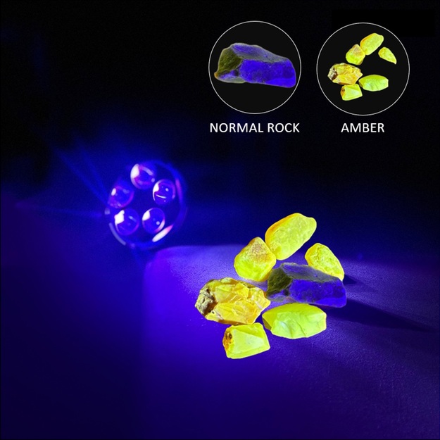 Amber Moon Pro UV lukturis 42W