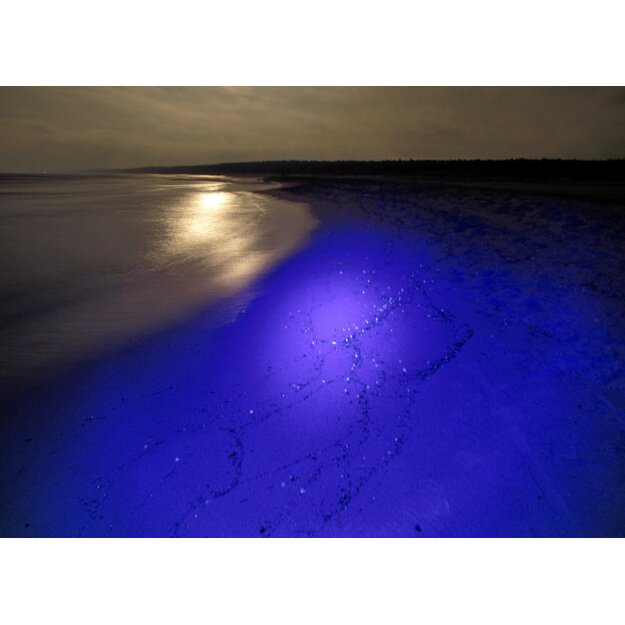 Galingas UV ultravioletinis prožektorius 36W