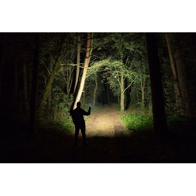 Armytek Elf C2 Max LR lukturītis 4500lm USB-C plate, balts F10702PC