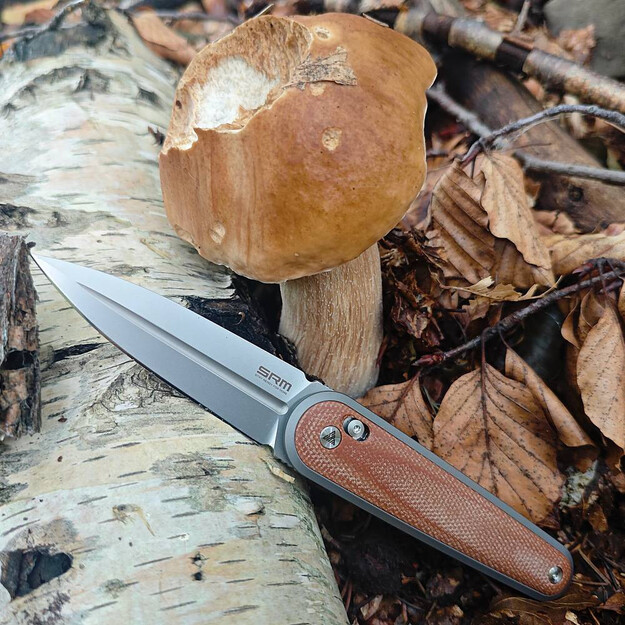 SRM 251MB-MN saliekamais nazis