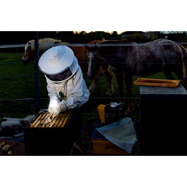 Ledlenser MH4 NEW 400lm headlamp, black