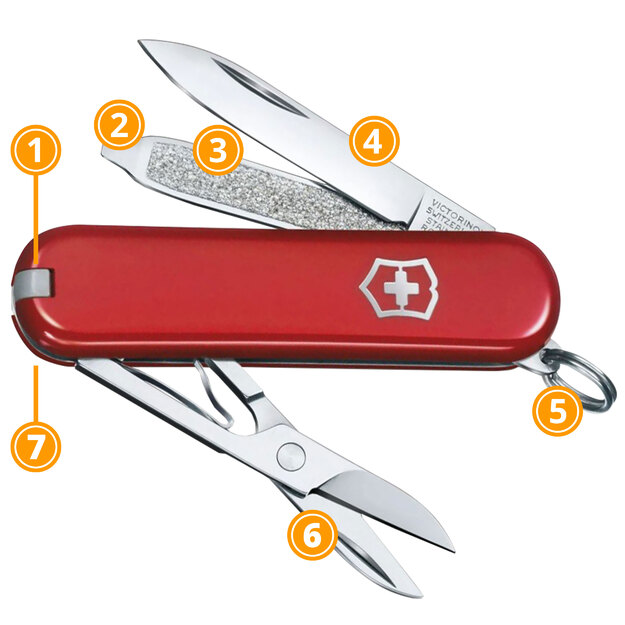 Карманный нож Victorinox CLASSIC SD COLORS 0.6223.G Style icon