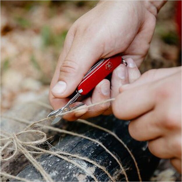 Карманный нож Victorinox CLASSIC SD COLORS 0.6223.G Style icon