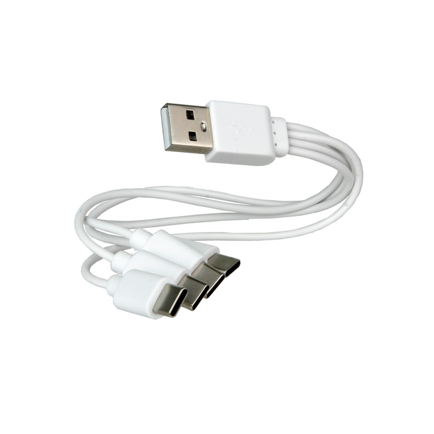 XTAR AA 1.5V 2450 mAh Litija jonu akumulatori ar USB-C ligzdu, 4 gab.