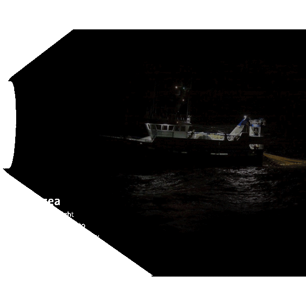 XTAR D06 1200lm flashlight for diving