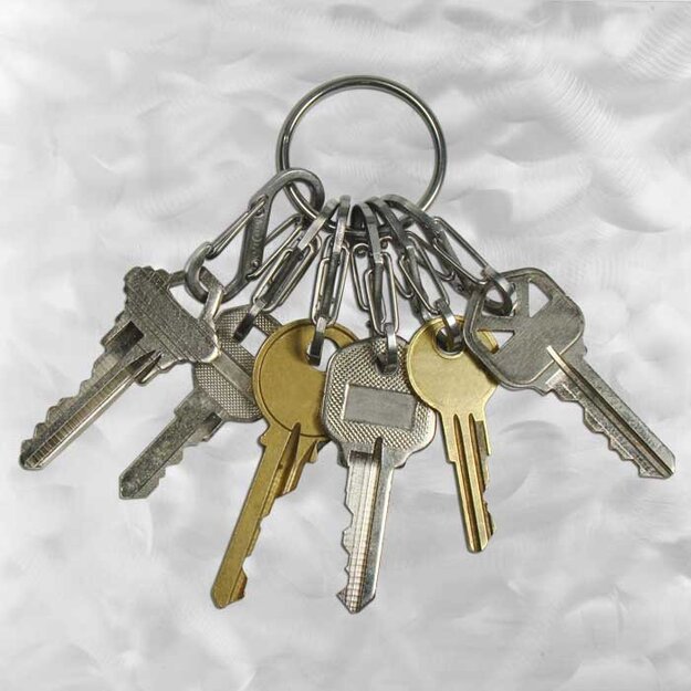 Nite Ize - S-Biner KeyRing nerūsējo&scaron;ā tērauda karabīne - KRGS-11-R3