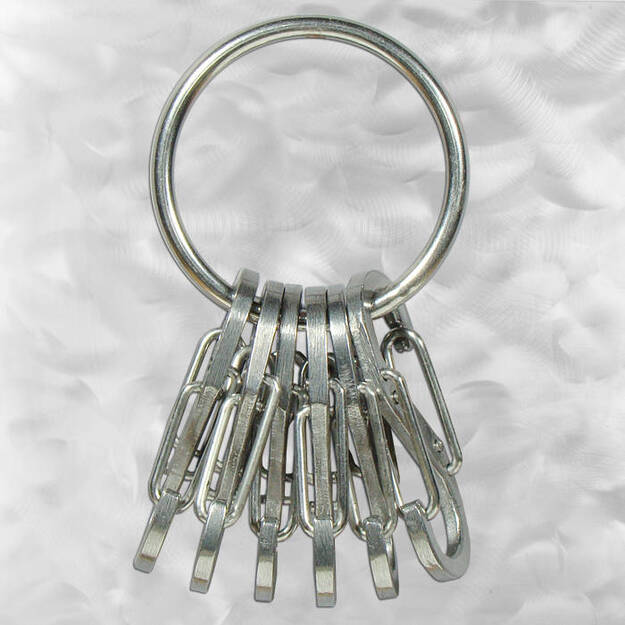 Nite Ize - S-Biner KeyRing nerūsējo&scaron;ā tērauda karabīne - KRGS-11-R3