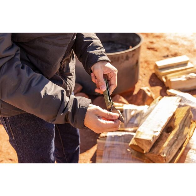 Gerber Zilch - Lī&scaron;a nazis 1067530