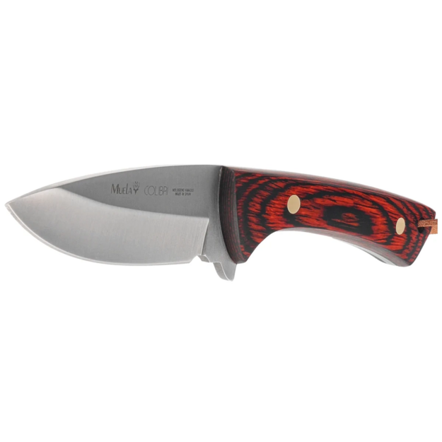 Muela Colibri knife COL-9R Coral Pakka Wood Satin X50CrMoV15