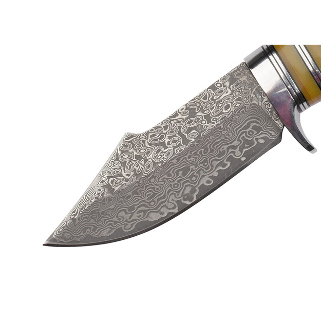 TAKOMA Damascus Steel Hunting Knife N-959