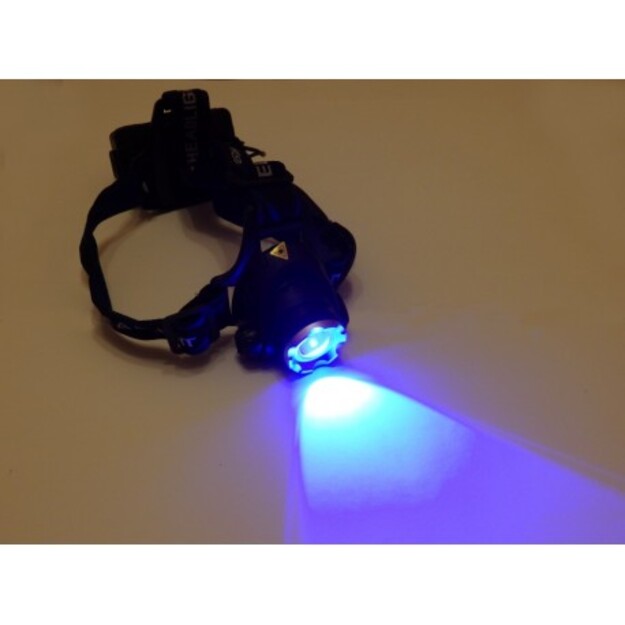 Ultravioletinis žibintuvėlis ant galvos 4,5W
