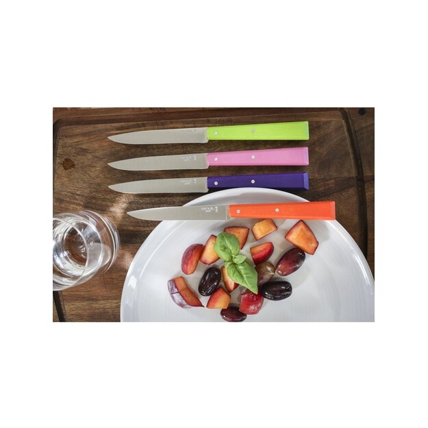 Opinel Pop Spirit galda nažu komplekts