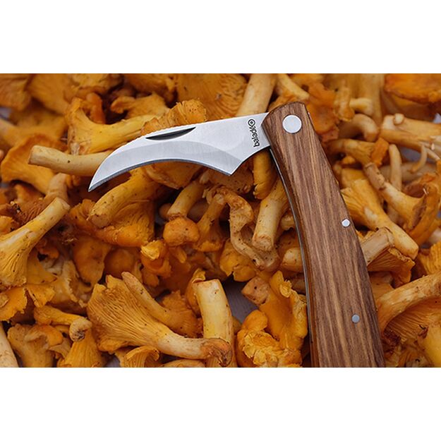 Baladeo sēņu nazis ECO000029