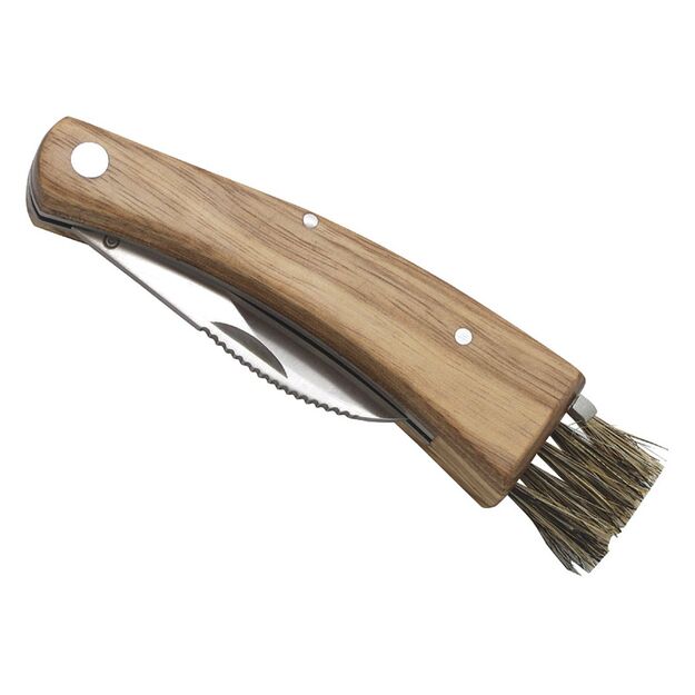 Baladeo sēņu nazis ECO000029