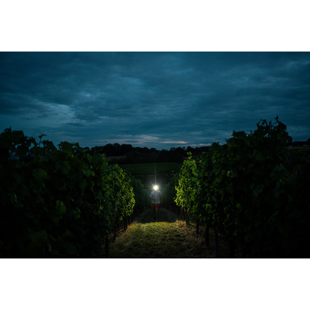 Ledlenser H7R Signature headlamp