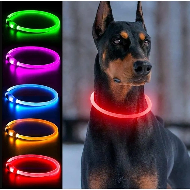 Adjustable LED Glowing Dog Collar USB Mix Colors Size L