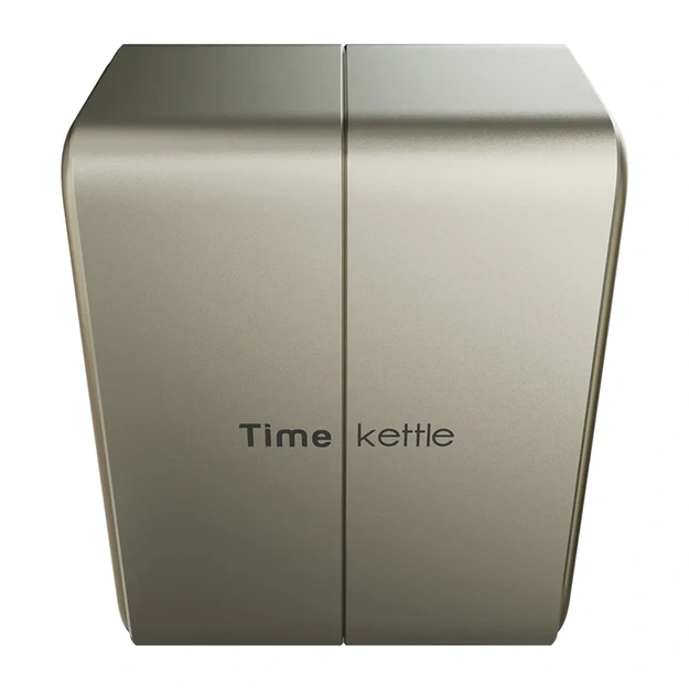 TimeKettle W4 Plus TWS Translation Earbuds (Gold)