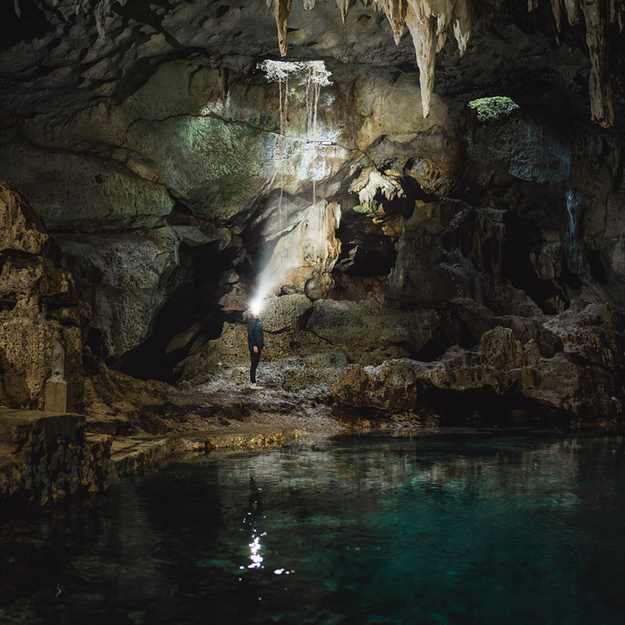 Ledlenser HF6R Signature headlamp 502885