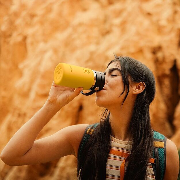 Hydro Flask Wide elastīga vāka izolēta pudele Beachplum 475 ml W16BCX526
