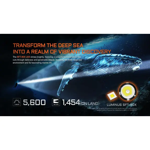 Acebeam D30 Diving Flashlight, 5600lm