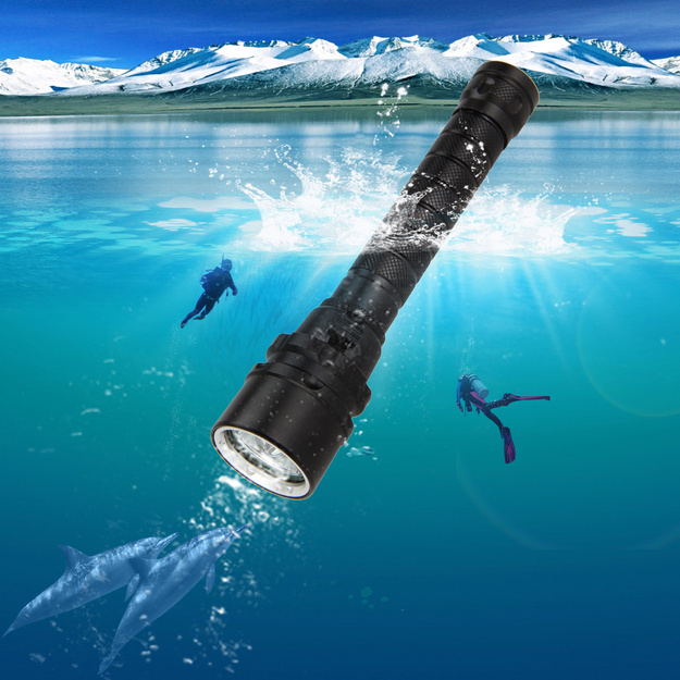 Ultraviolet  24W  flashlight